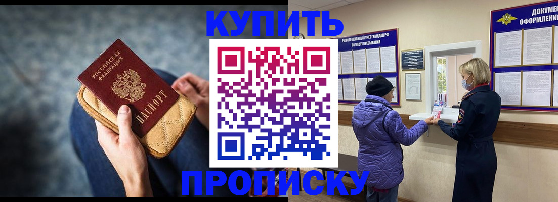 прописка законно в Сураже